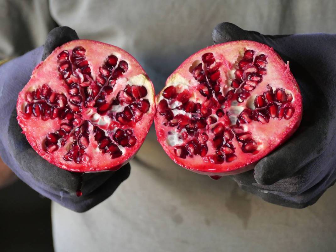 Neye niyet, neye kısmet: İlçenin ekonomisini ayağa kaldırdı! Yüksek gelir elde ediyorlar, kapış kapış satılıyor 22